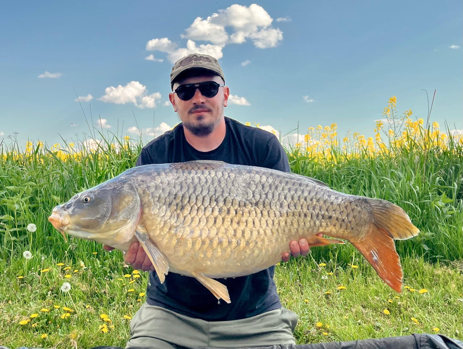 Aleš Malyjurek's profile photo